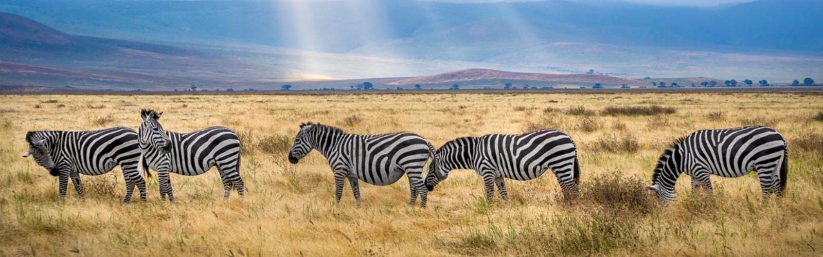 Kirándulj a KiwiSunnal Afrika világába! Kirándulj a KiwiSunnal Afrika világába!